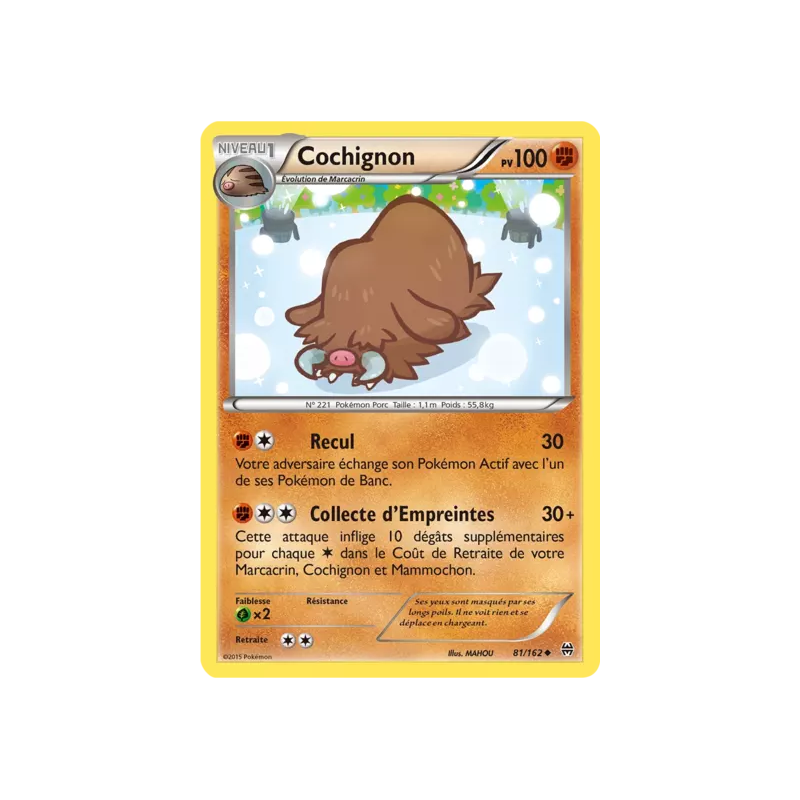 Cochignon BKT - 081/162