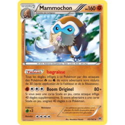 Mammochon BKT - 082/162