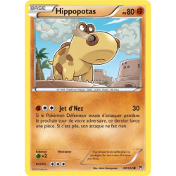 Hippopotas BKT - 083/162
