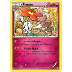 Floette BKT - 102/162