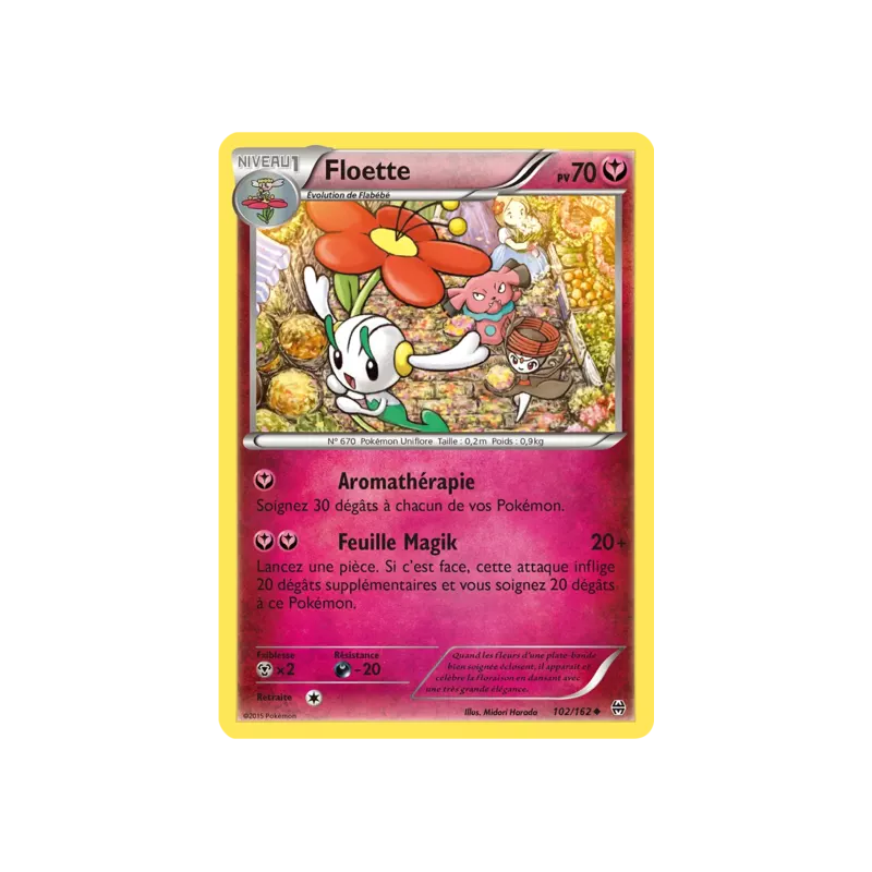 Floette BKT - 102/162