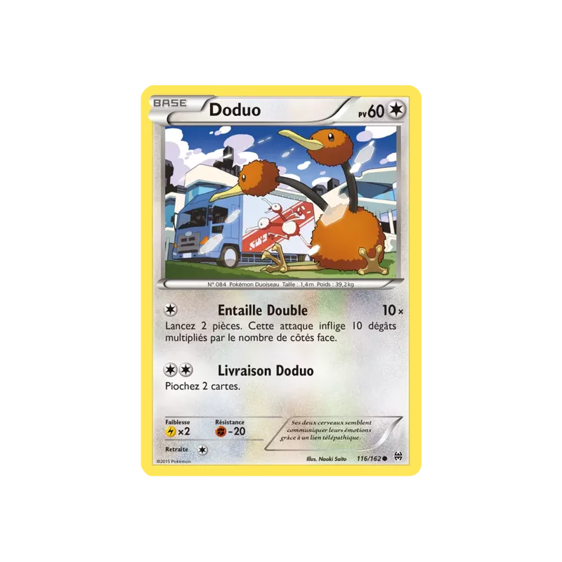 Doduo BKT - 116/162