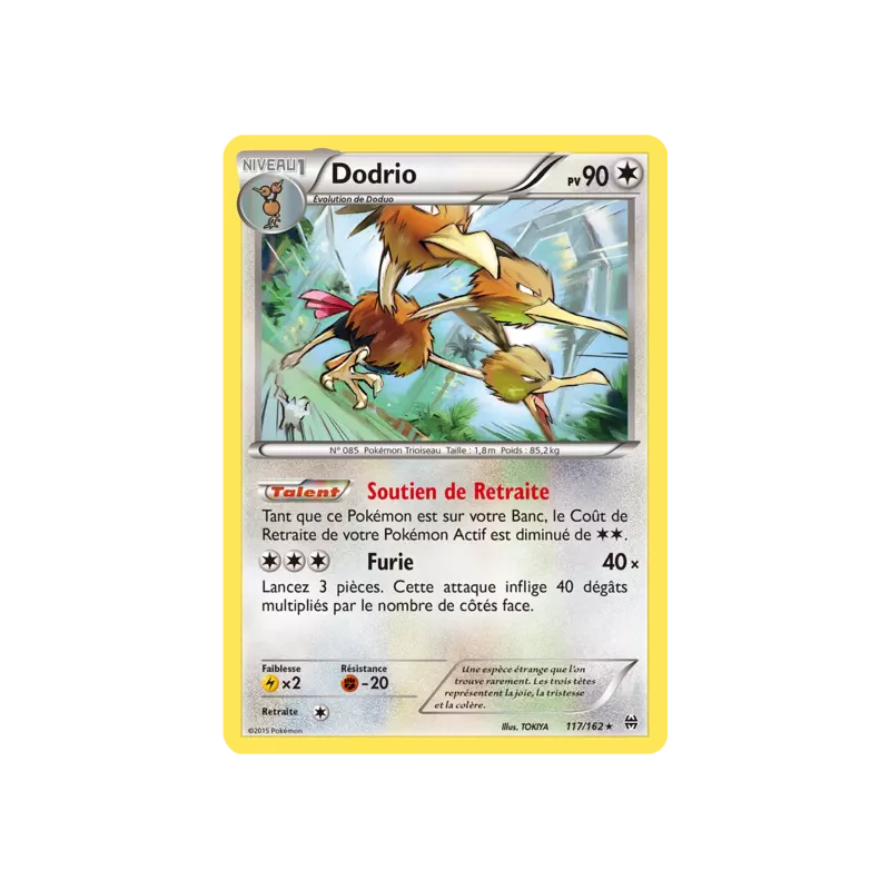 Dodrio BKT - 117/162
