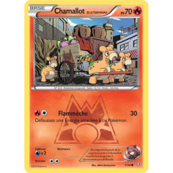 Chamallot de la Team Magma DCR - 01/34