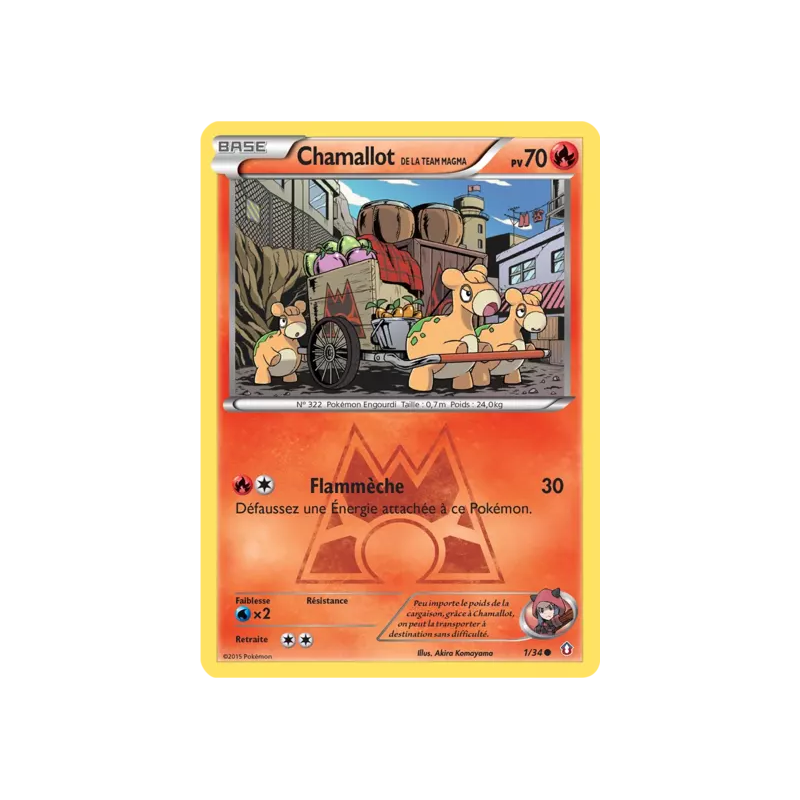 Chamallot de la Team Magma DCR - 01/34
