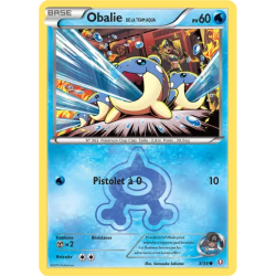 Obalie de la Team Aqua DCR - 03/34