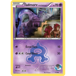 Tadmorv de la Team Aqua DCR - 07/34