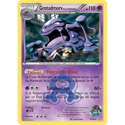 Grotadmorv de la Team Aqua DCR - 08/34