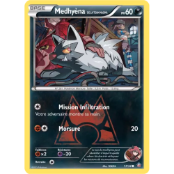 Medhyèna de la Team Magma DCR - 17/34