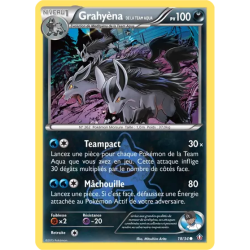 Grahyèna de la Team Aqua DCR - 18/34