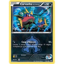 Carvanha de la Team Aqua DCR - 20/34