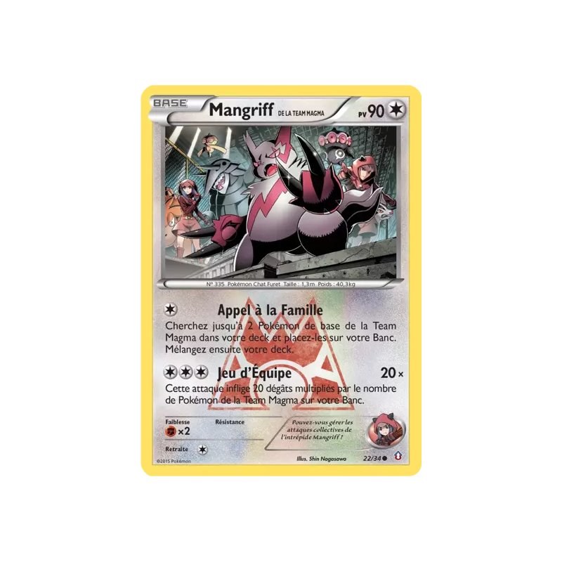 Mangriff de la Team Magma DCR - 22/34