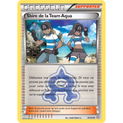 Sbire de la Team Aqua DCR - 26/34