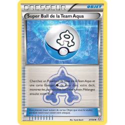Super Ball de la Team Aqua DCR - 27/34