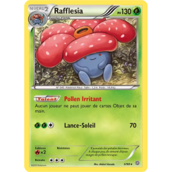 Rafflesia AOR - 03/98