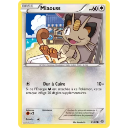 Miaouss AOR - 61/98