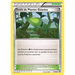 Forêt de Plantes Géantes AOR - 74/98