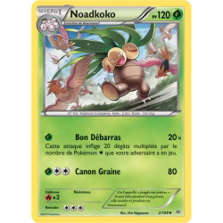 Noadkoko ROS - 002/108
