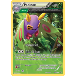 Papinox ROS - 008/108
