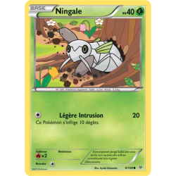 Ningale ROS - 009/108
