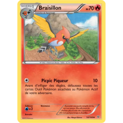 Braisillon ROS - 014/108