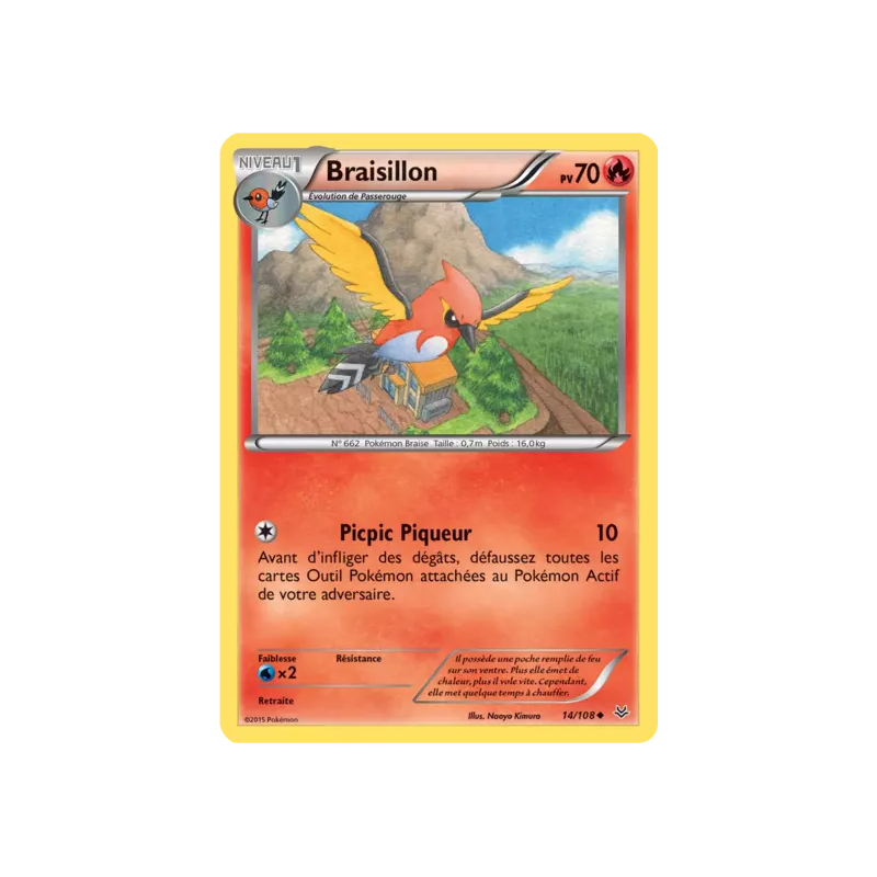 Braisillon ROS - 014/108