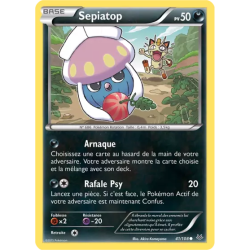 Sepiatop ROS - 041/108