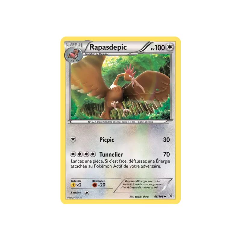 Rapasdepic ROS - 066/108