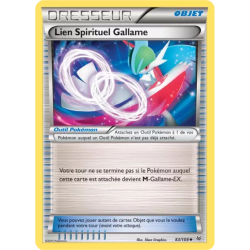 Lien Spirituel Gallame ROS - 083/108