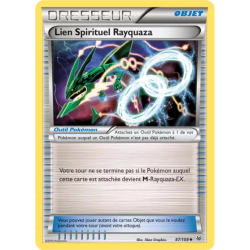 Lien Spirituel Rayquaza ROS - 087/108