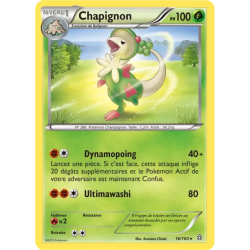 Chapignon PRC - 016/160