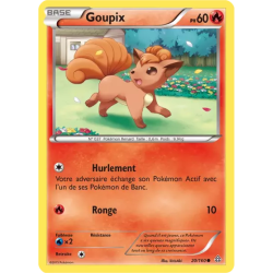 Goupix PRC - 020/160
