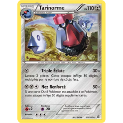 Tarinorme PRC - 095/160