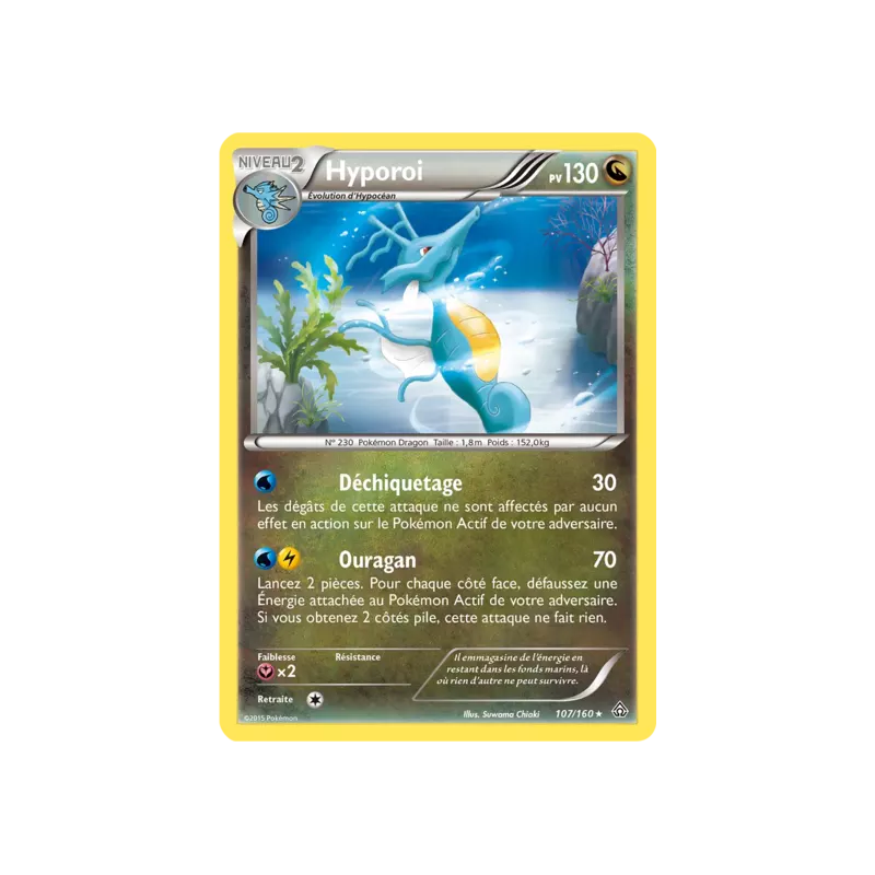 Hyporoi PRC - 107/160