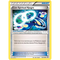 Lien Spirituel Kyogre PRC - 132/160