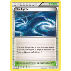 Mer Agitée PRC - 137/160