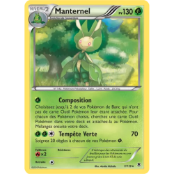 Manternel PHF - 007/119