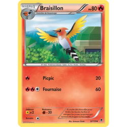 Braisillon PHF - 009/119