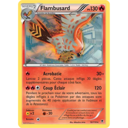 Flambusard PHF - 010/119