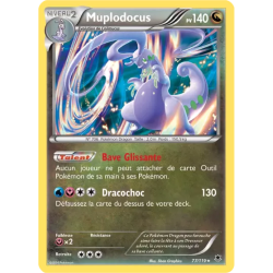 Muplodocus PHF - 077/119
