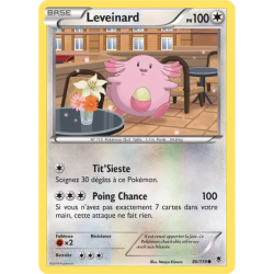 Leveinard PHF - 080/119