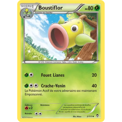 Boustiflor FFI - 002/111