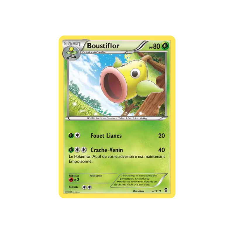 Boustiflor FFI - 002/111