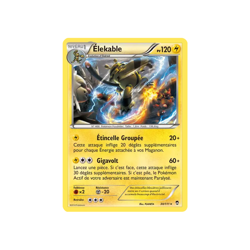 Élekable FFI - 030/111