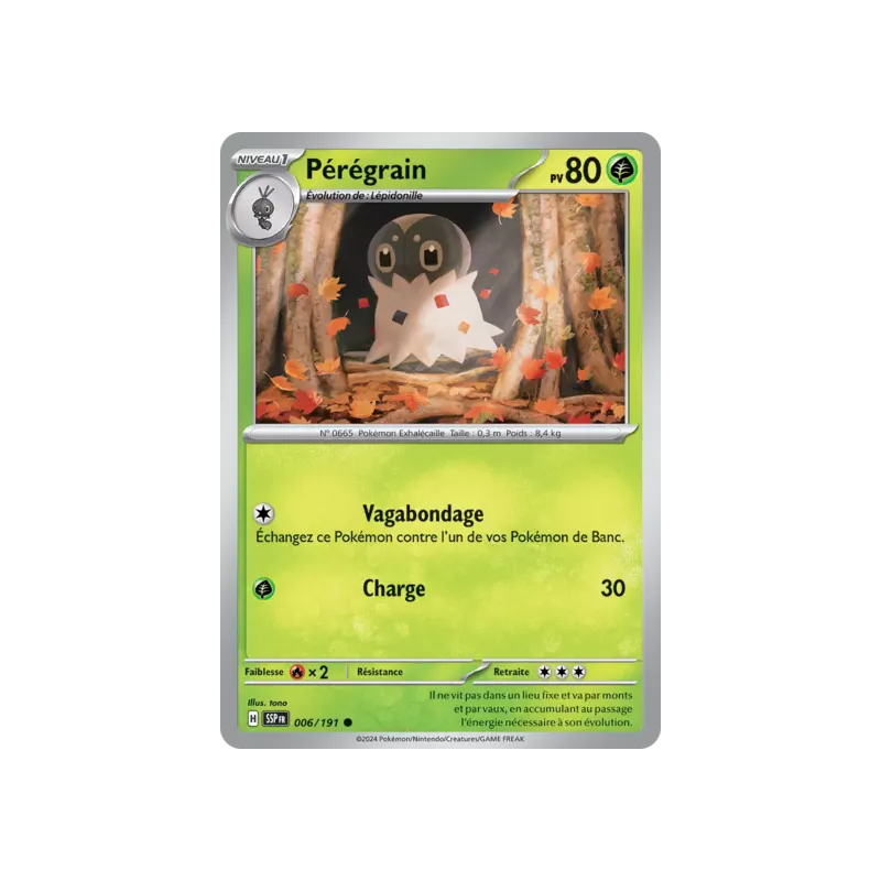 Pérégrain SSP - 006/191