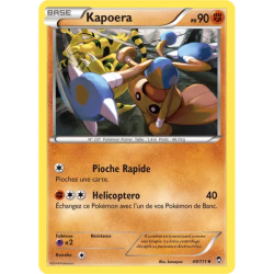 Kapoera FFI - 049/111