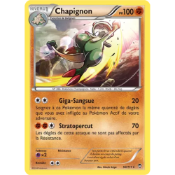Chapignon FFI - 050/111