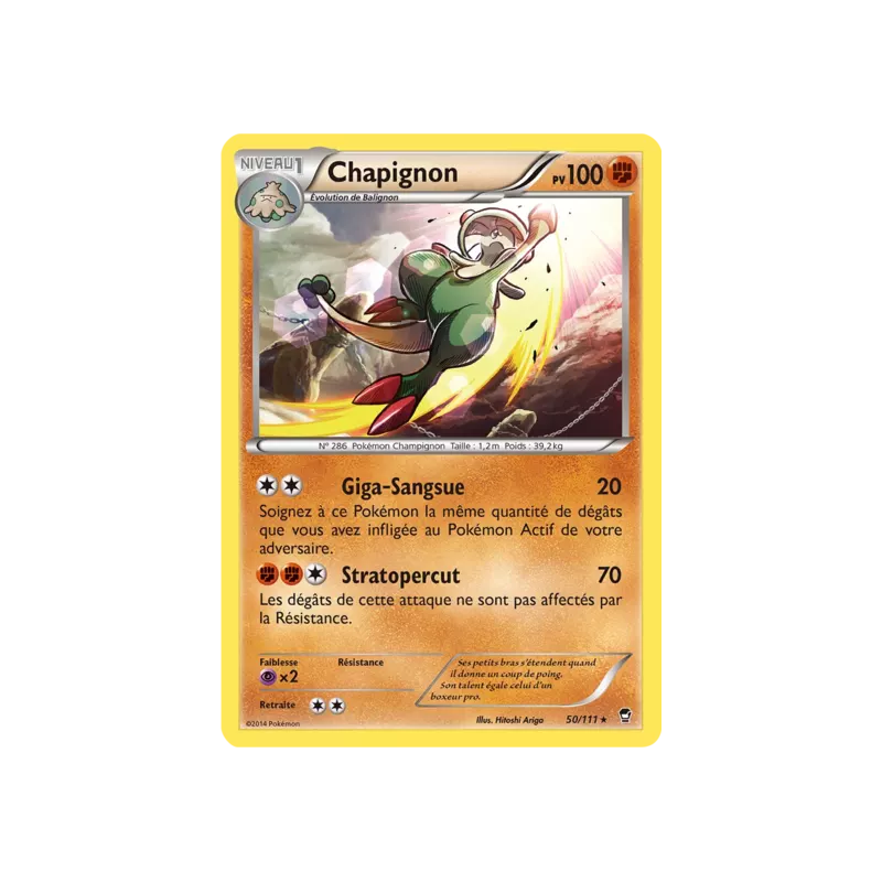 Chapignon FFI - 050/111