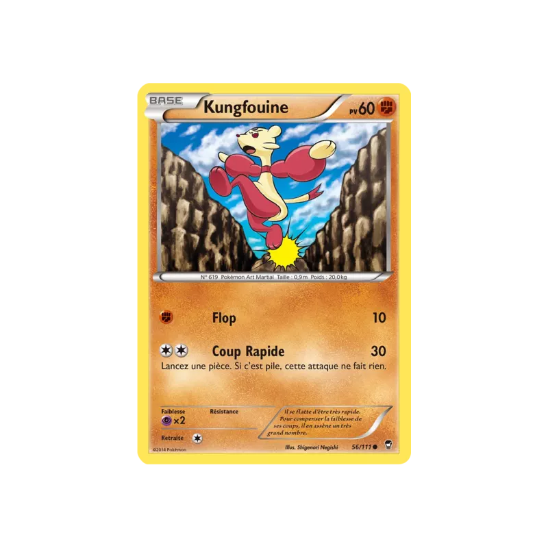 Kungfouine FFI - 056/111