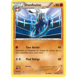 Shaofouine FFI - 057/111